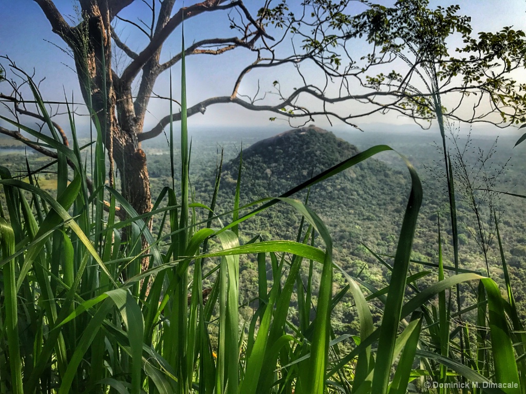 ~ ~ AT SIGIRIYA ~ ~