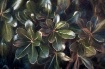 Painted Foliage