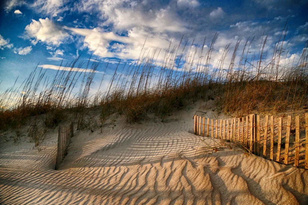 Golden Fence