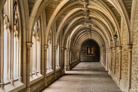 Hallway at Princeton 4-22-17 200