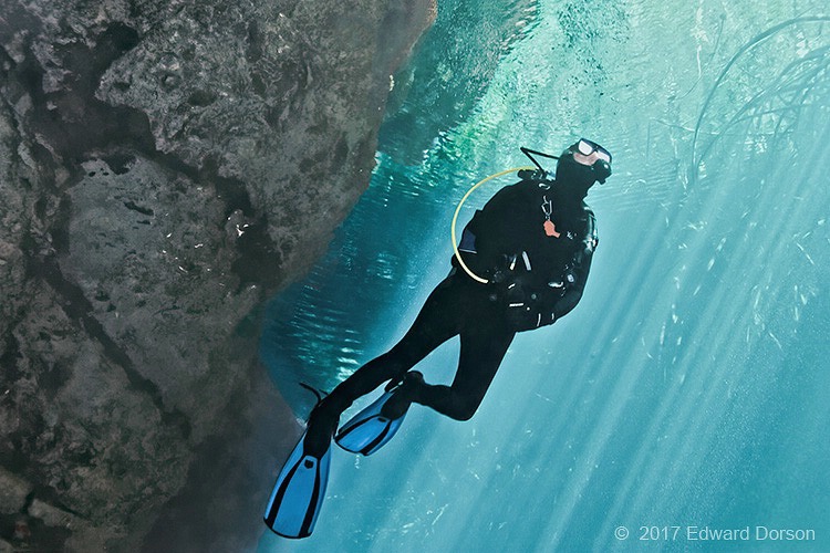 Ascending from Cenote - ID: 15361881 © Edward Dorson
