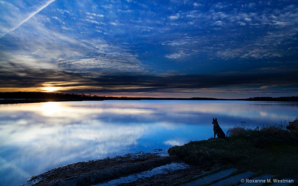 Enjoying the sunset - ID: 15361966 © Roxanne M. Westman