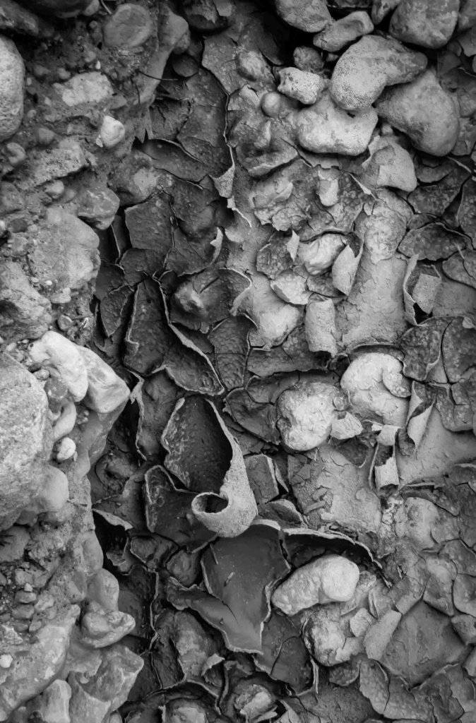 Dried Mud, B&W - ID: 15362456 © Patricia A. Casey