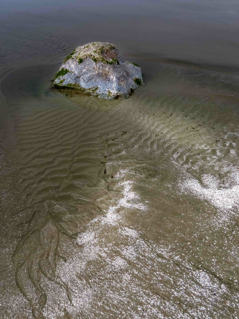 Low Tide, Sandy Beach - ID: 15362471 © Patricia A. Casey