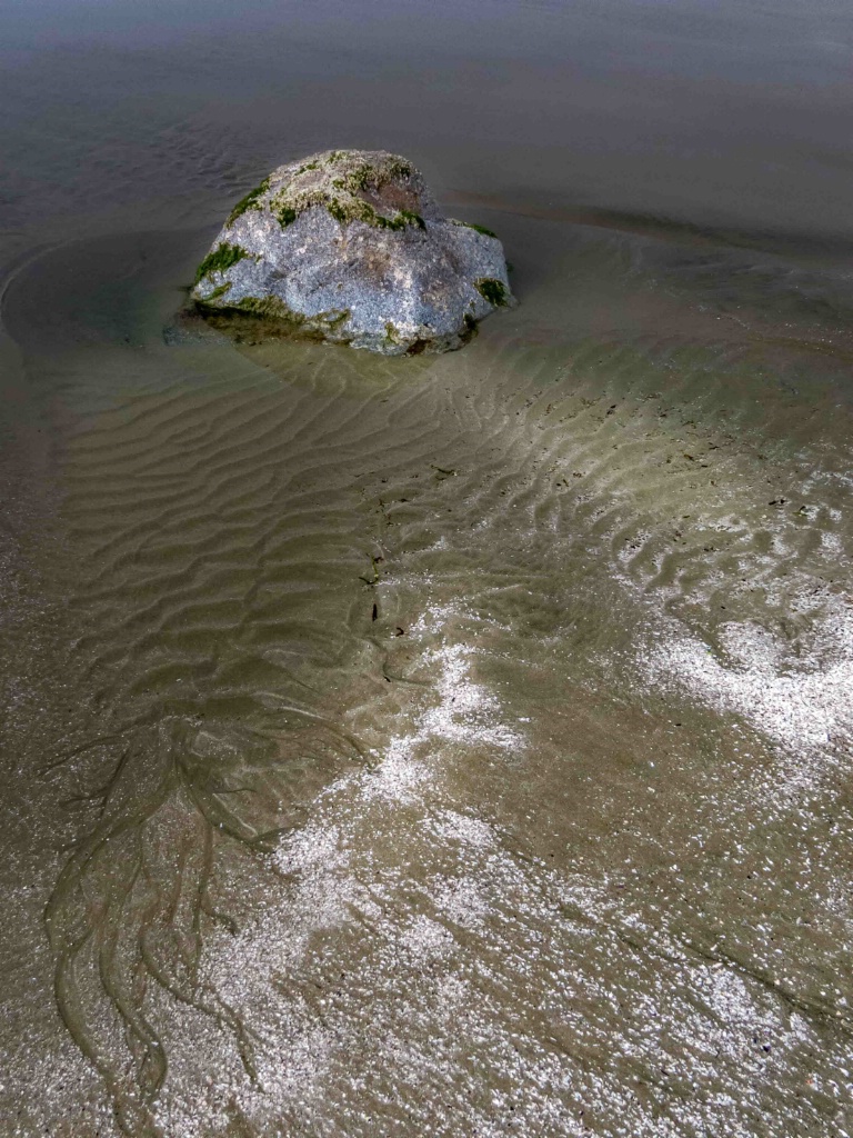 Low Tide, Sandy Beach