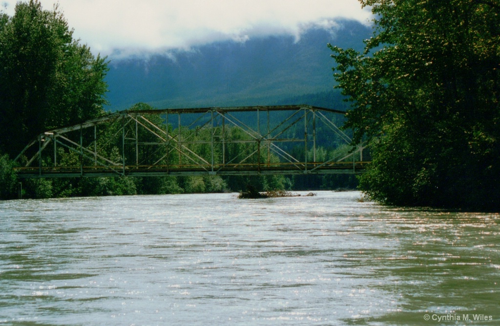 Old Train Bridge, Alaska - ID: 15362915 © Cynthia M. Wiles