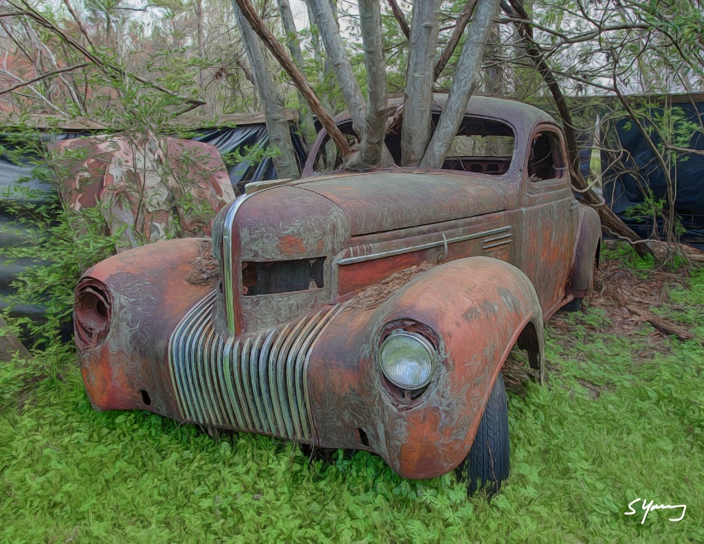 Car With Tree; Old Car City; White, GA