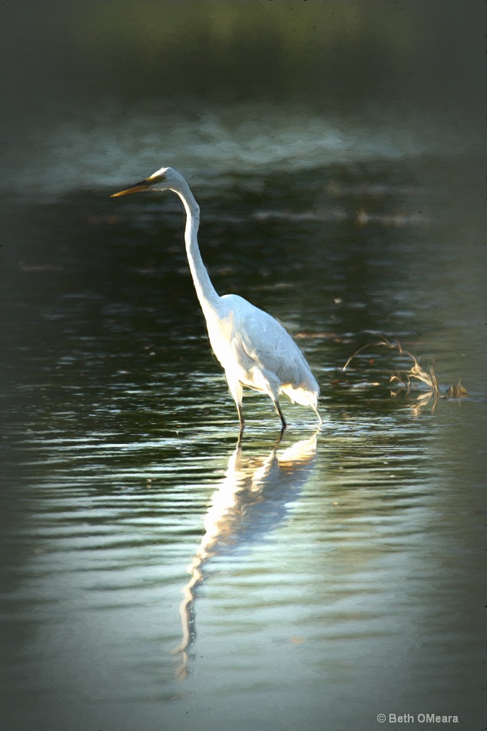 Crane at the Park - Filters