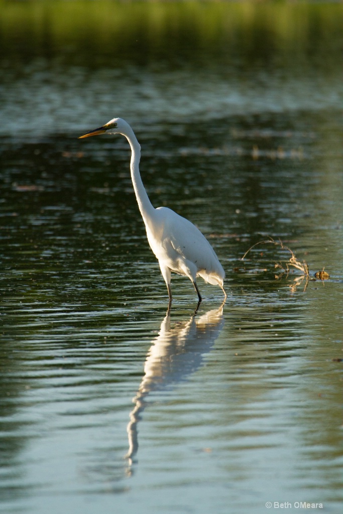 Crane at the Park-Original