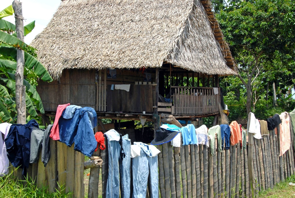 Housing allong the Amazon