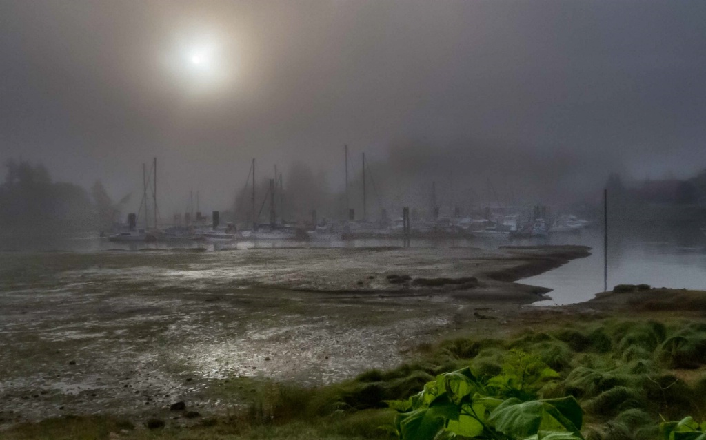 Ucluelet Sunrise - ID: 15364868 © Patricia A. Casey