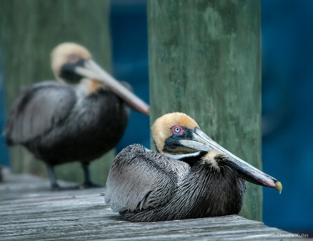 Docked