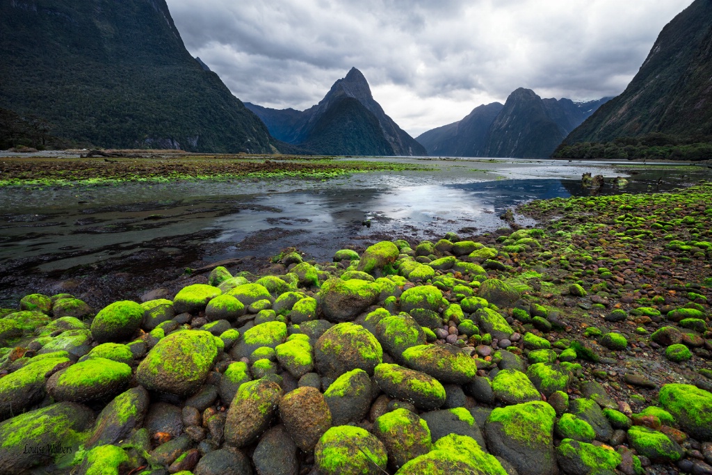 Moss & Rocks - ID: 15367139 © Louise Wolbers