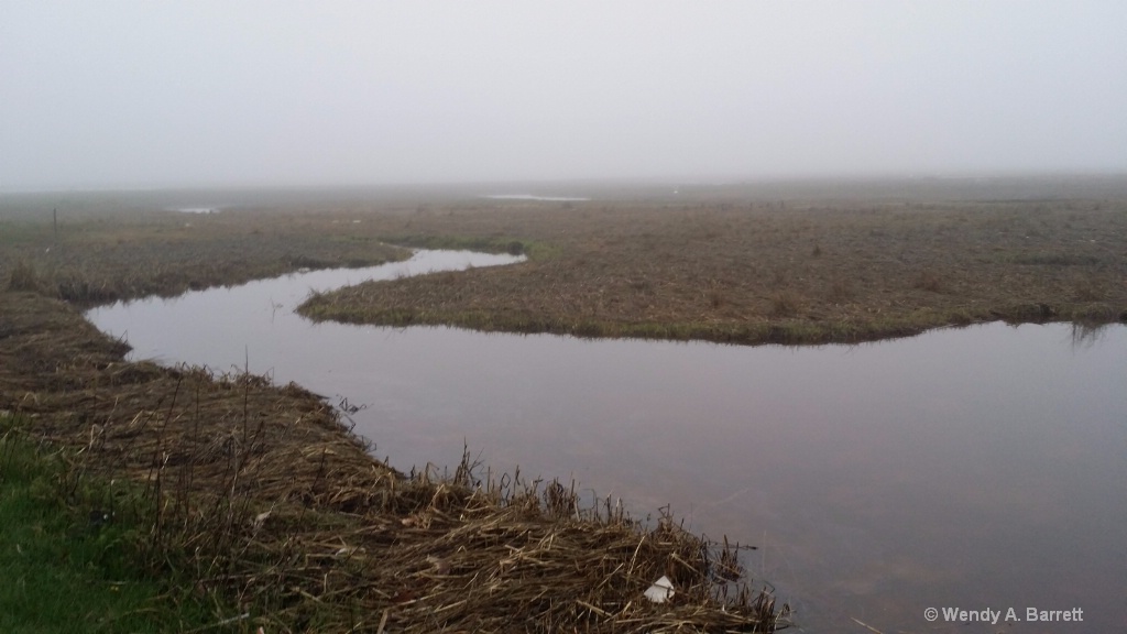 Wander in the Mist - ID: 15367163 © Wendy A. Barrett