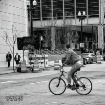City Cyclist