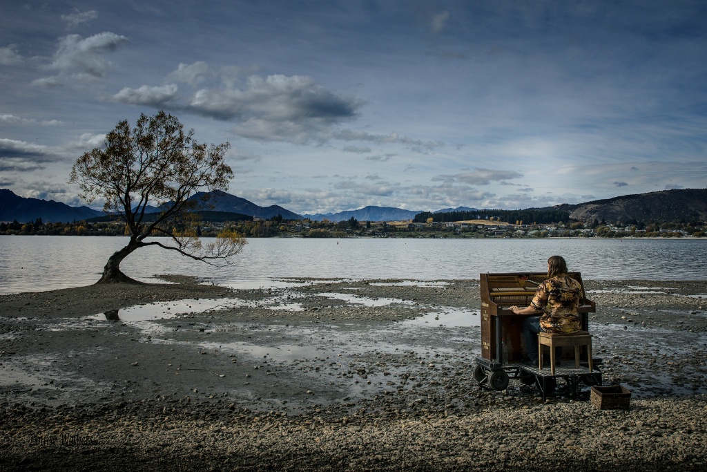 Music for the Wanaka Tree - ID: 15368649 © Louise Wolbers