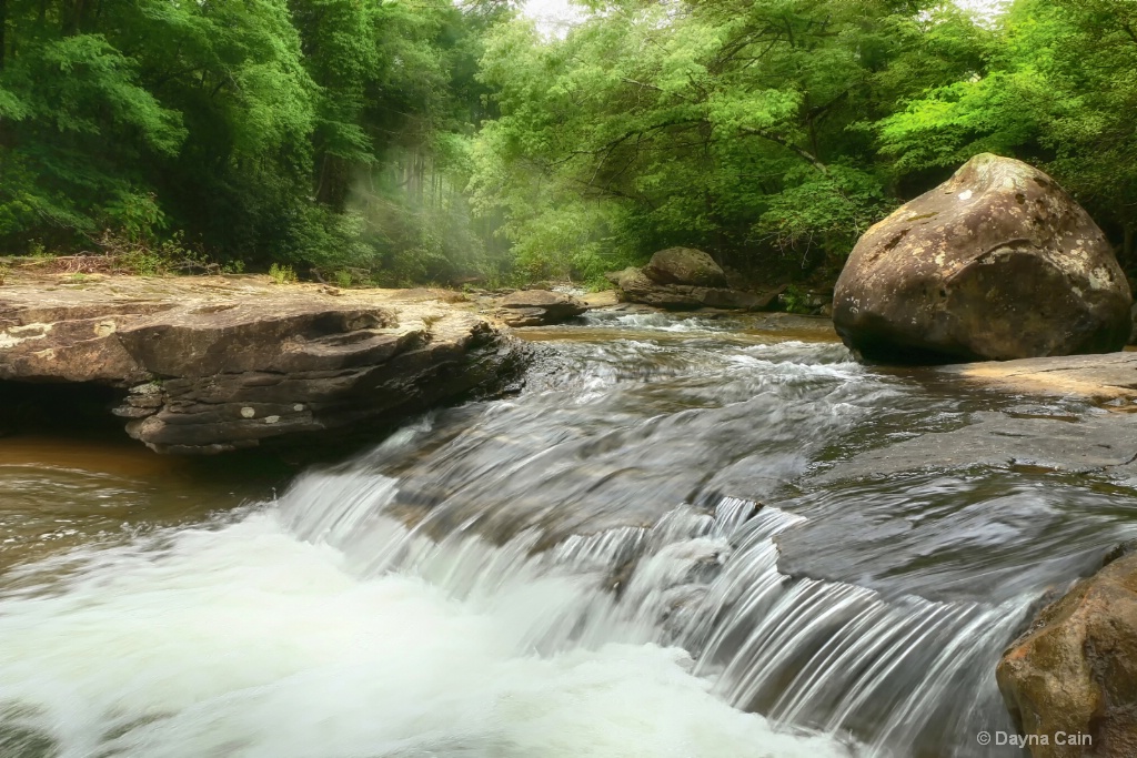 Jellico Creek