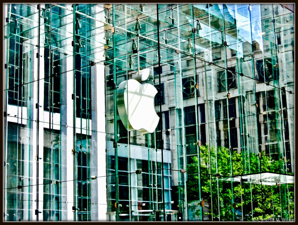Apple NYC - ID: 15369640 © Cynthia M. Wiles
