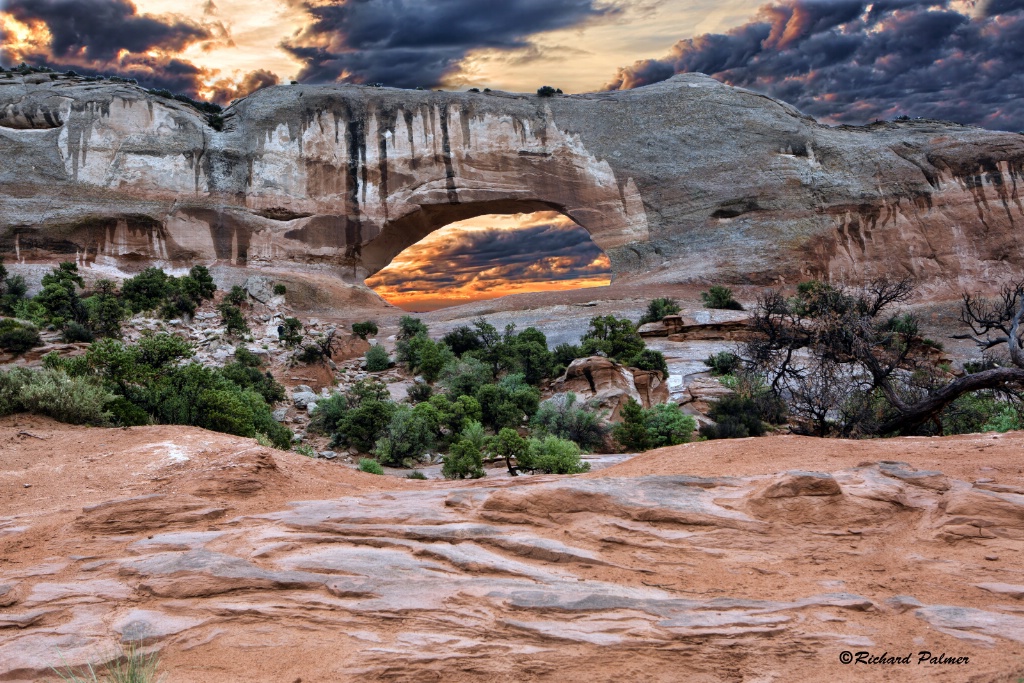 Wilsons Arch 7441