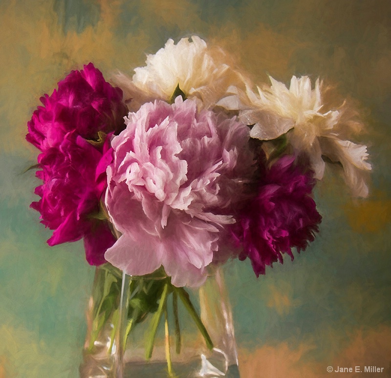 Peonies' Painting