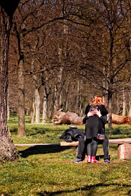Springtime Hug In The Park