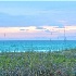 © CHARM HESS PhotoID# 15371235: DSC 3585