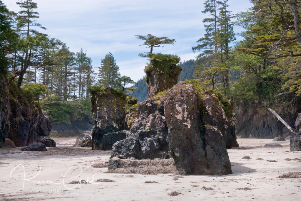 Sea Stacks