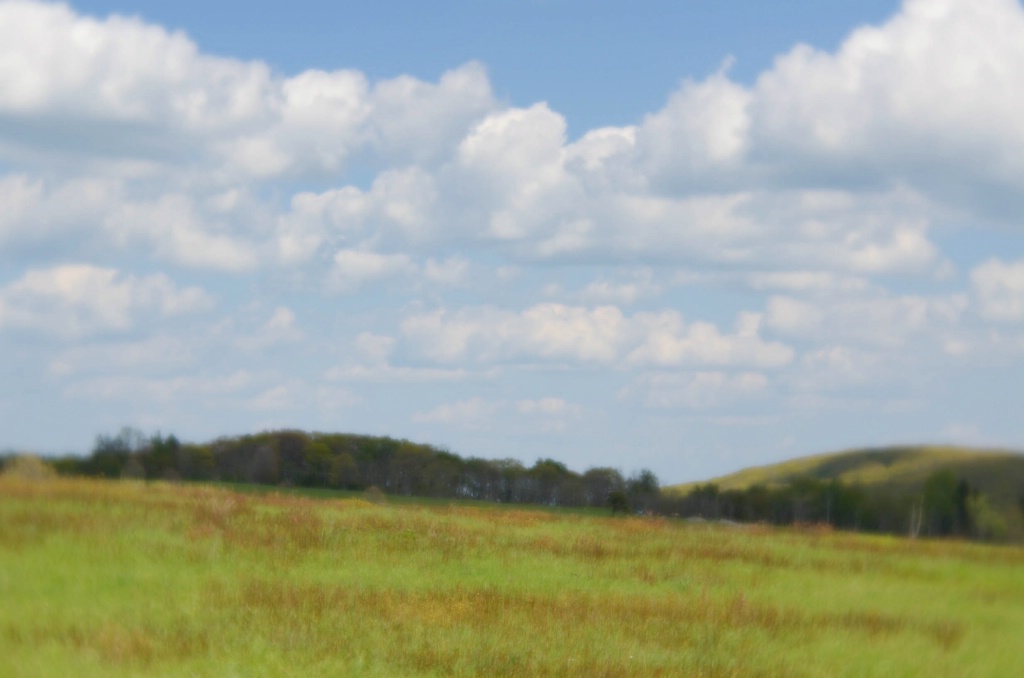 Big Meadows, Shenandoah National Park - ID: 15373127 © Nora Odendahl