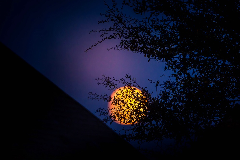 Moonrise - ID: 15373213 © Jeff Robinson