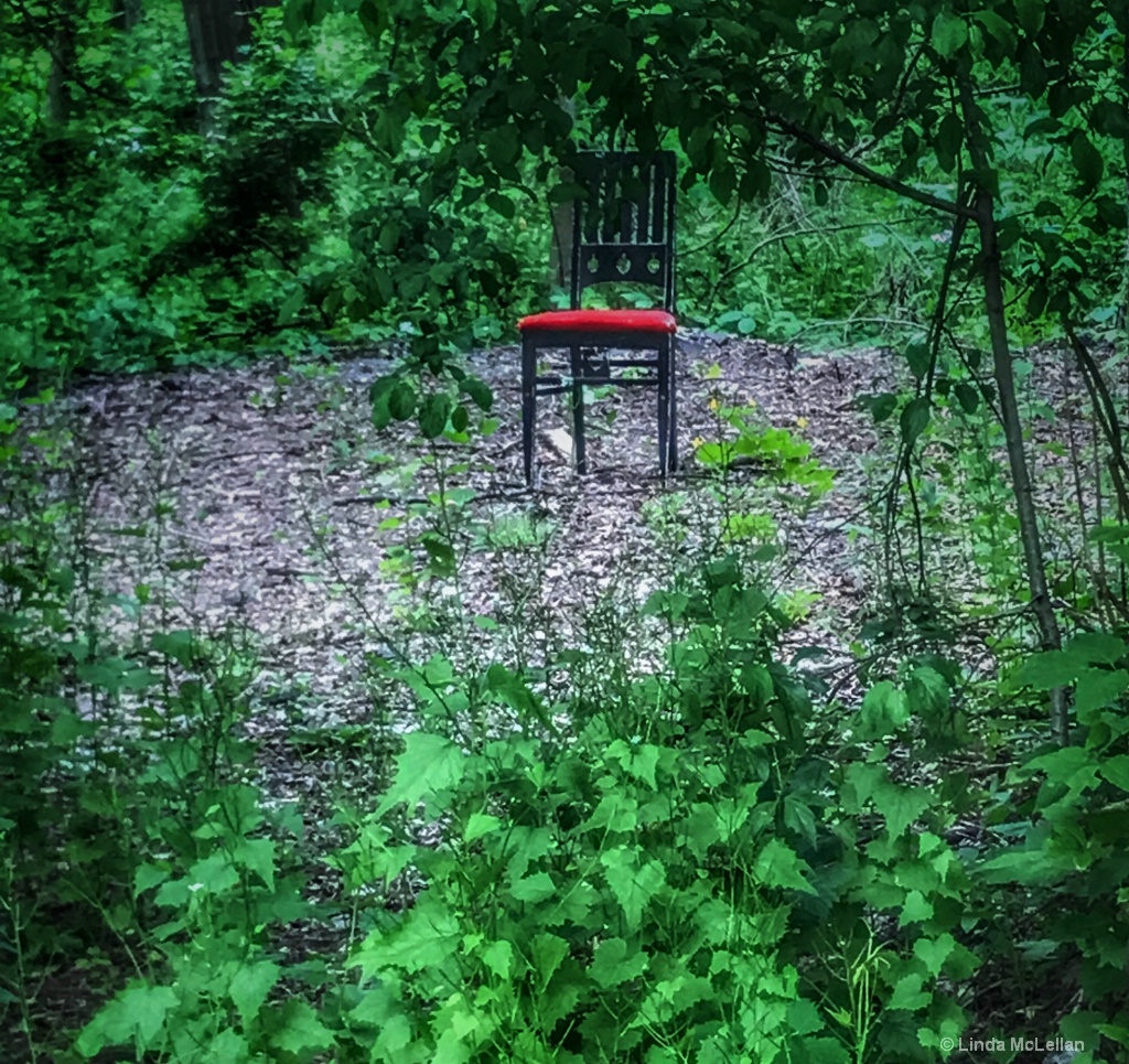 Chair in a clearing