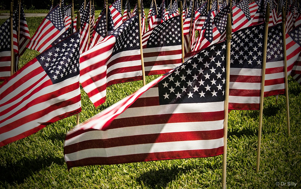 Memorial Day Flag