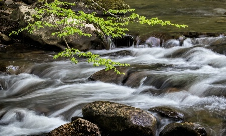 Little River Rapids    