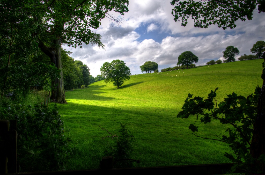 open fields