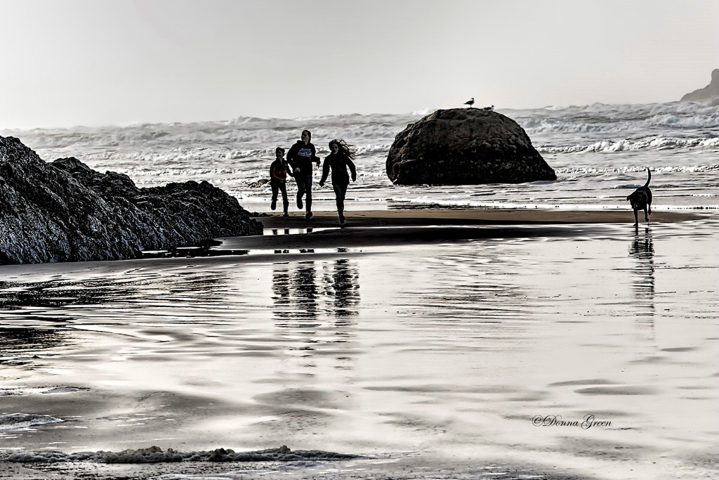 Morning Run - ID: 15375495 © Robert/Donna Green