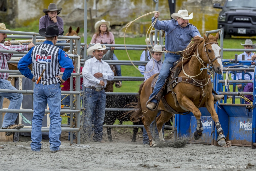 Calf Roping - ID: 15375504 © Deborah C. Lewinson