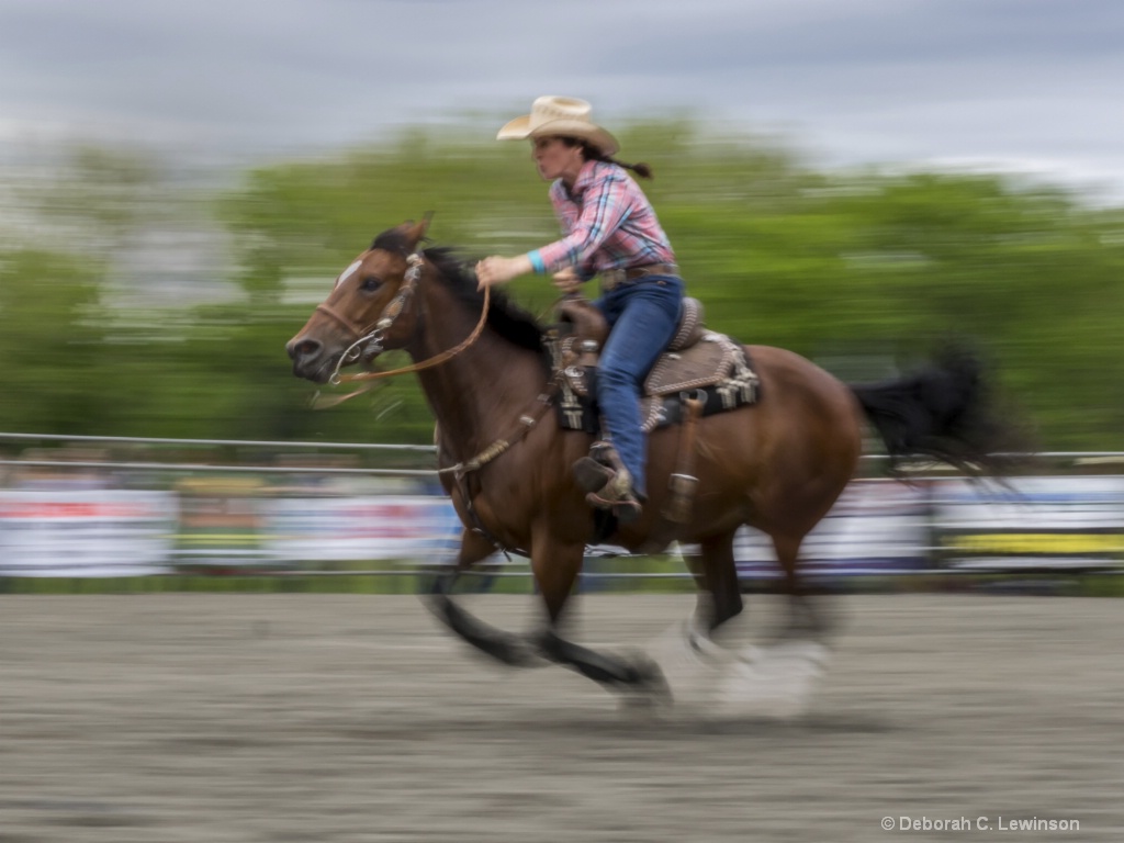 Barrel Race - ID: 15375507 © Deborah C. Lewinson