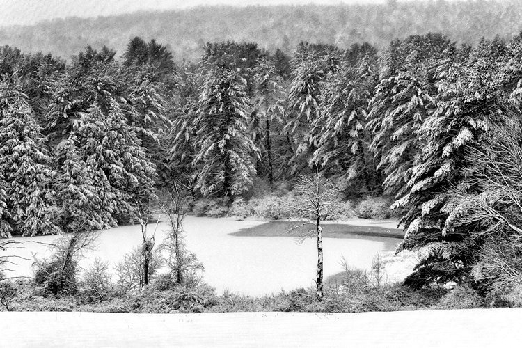 ...Muckross Pond....