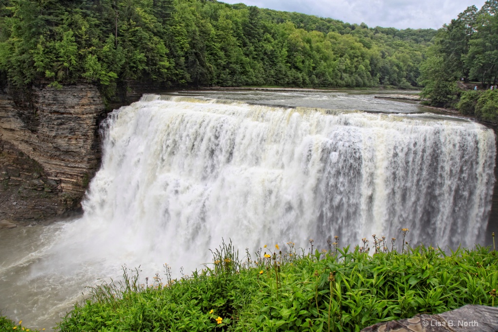 Middle Falls, Letchworth State Park, NY