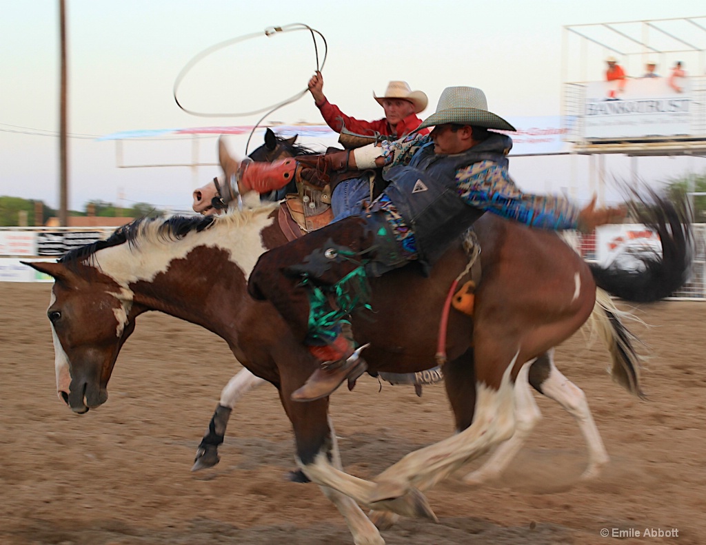 Bareback in color - ID: 15377668 © Emile Abbott