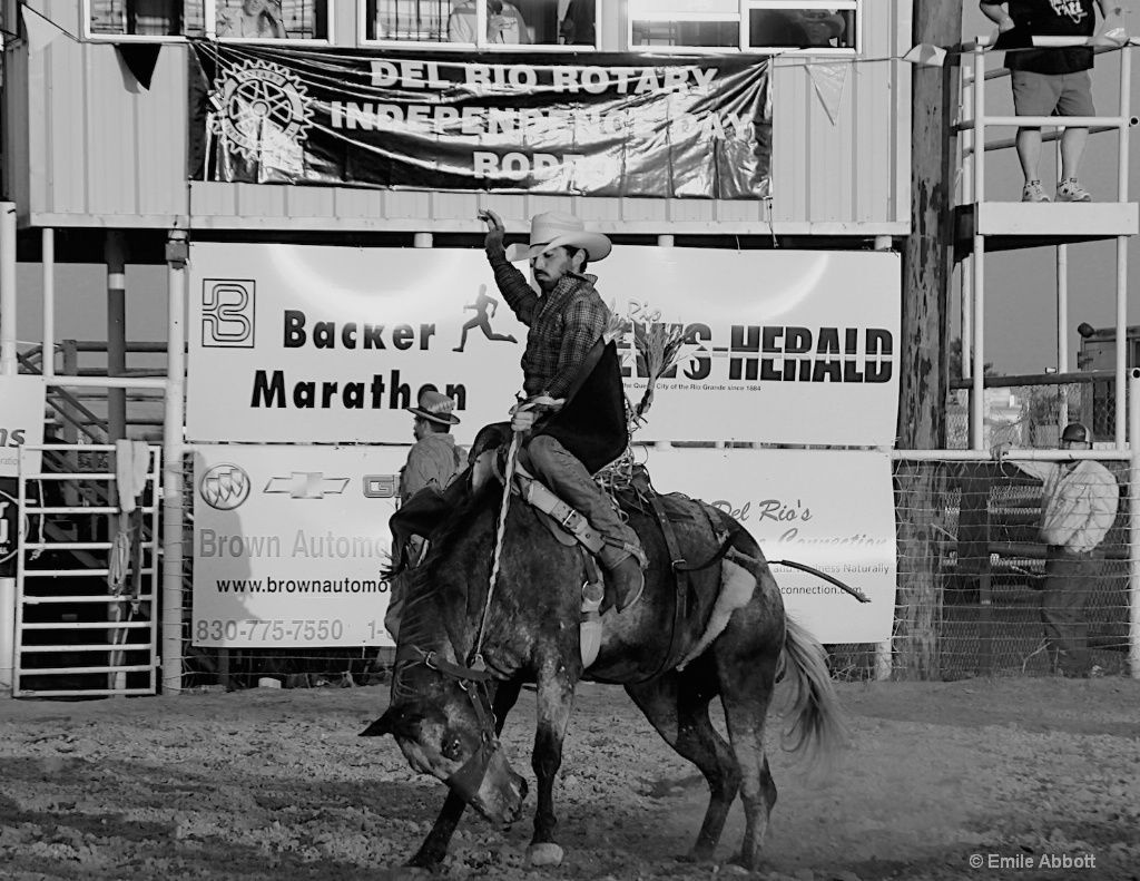 Lets Rodeo - ID: 15377671 © Emile Abbott