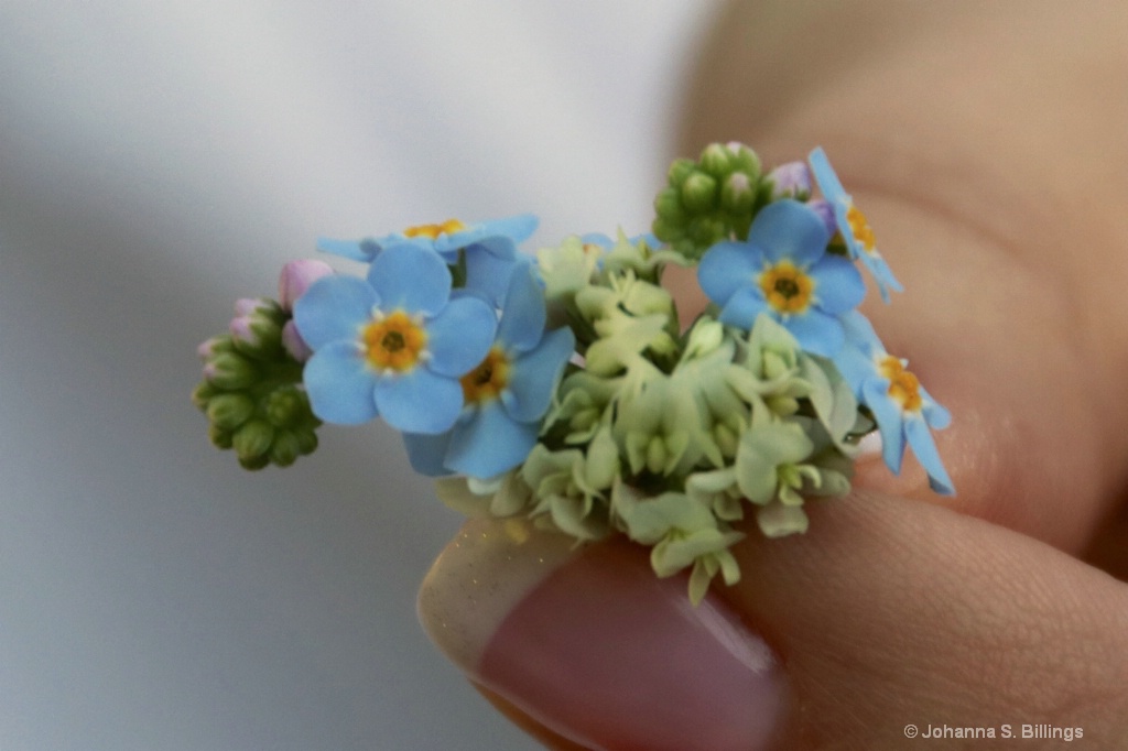 Tiny Bouquet