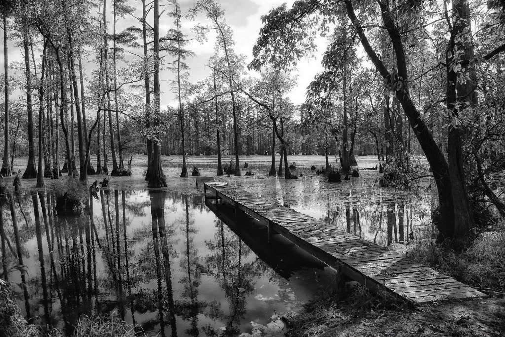 Cypress Landing