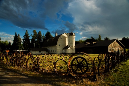 Wheel Fence