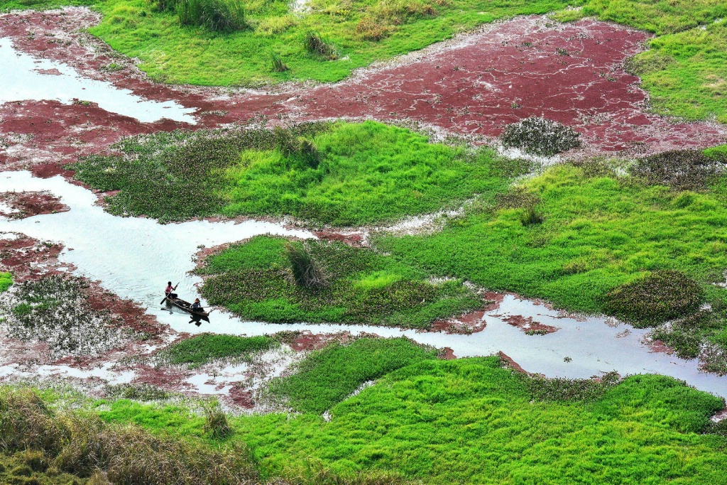 Green Land