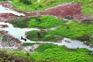 Green Land