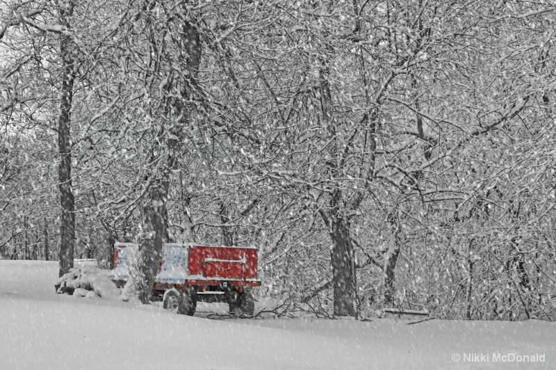 Wagon in Winter