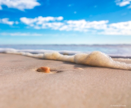 Beach Detail 1