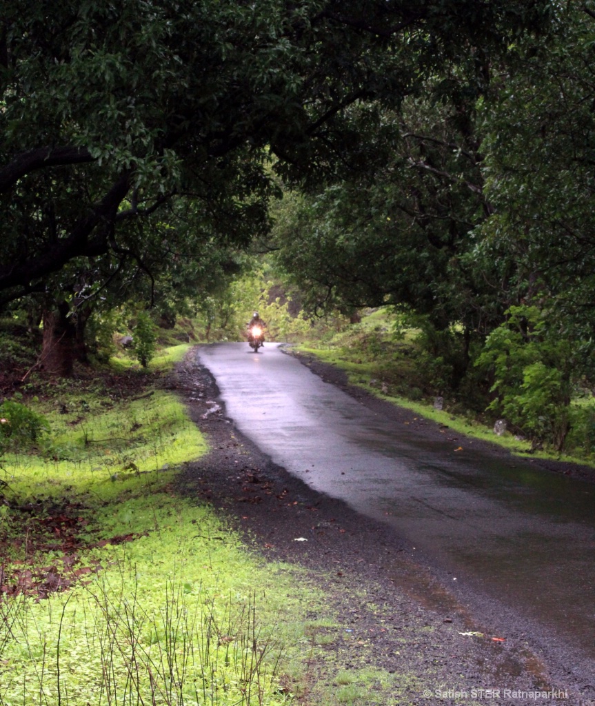 Monsoon Green Western Ghats 