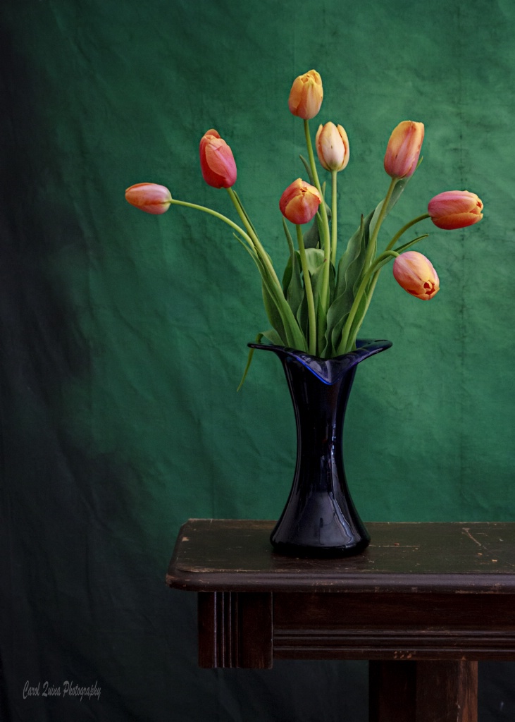 Tulips