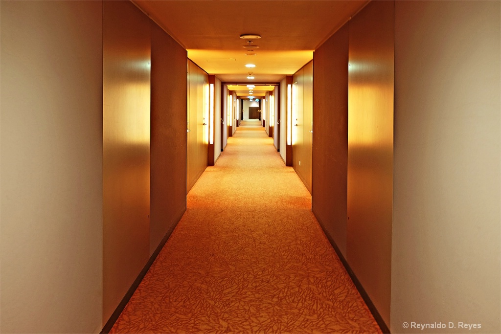 Down the Hall
